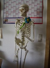 Studienzimmer